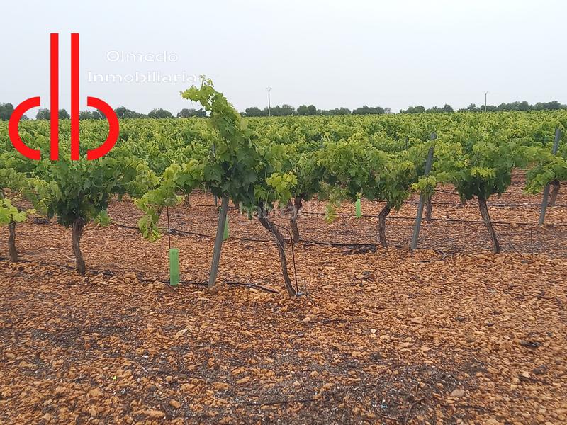 Foto abcc4a10-2e75-40c5-a2e0-b1ec5a64970c. Finca rústica a calle garcía pavón 106 a Tomelloso