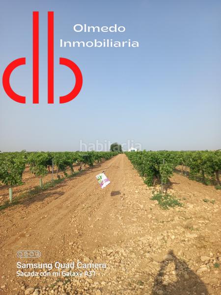 Foto c154c041-7387-4c22-b34a-c77ff1a34de7. Finca rústica a calle garcía pavón 106 a Tomelloso