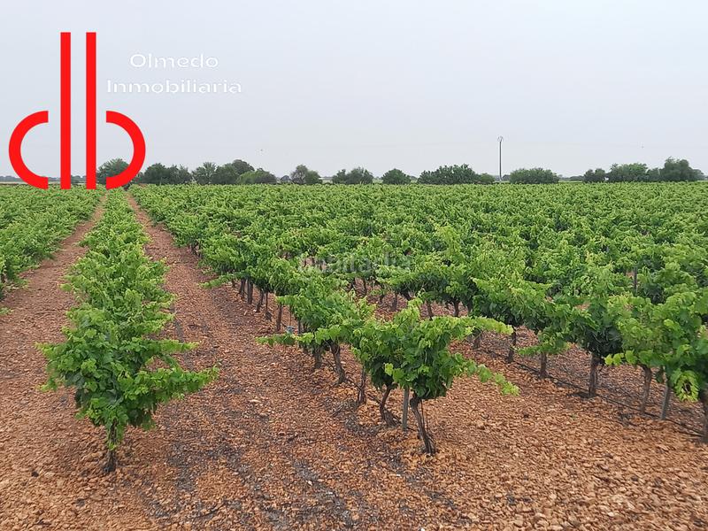 Foto d88885ab-29fe-466e-b90e-9c366cacd2e3. Finca rústica a calle garcía pavón 106 a Tomelloso