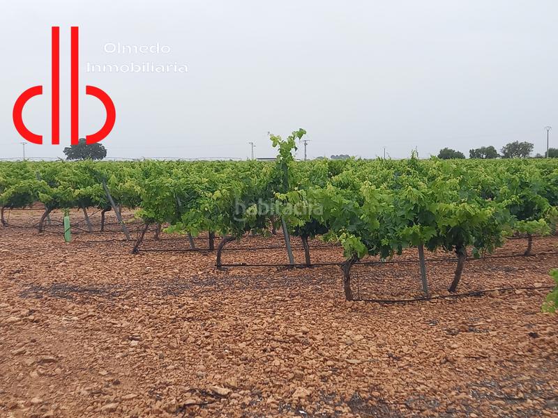 Foto e8a45cb3-7dbc-4f47-ab94-4c82b9b89303. Finca rústica a calle garcía pavón 106 a Tomelloso