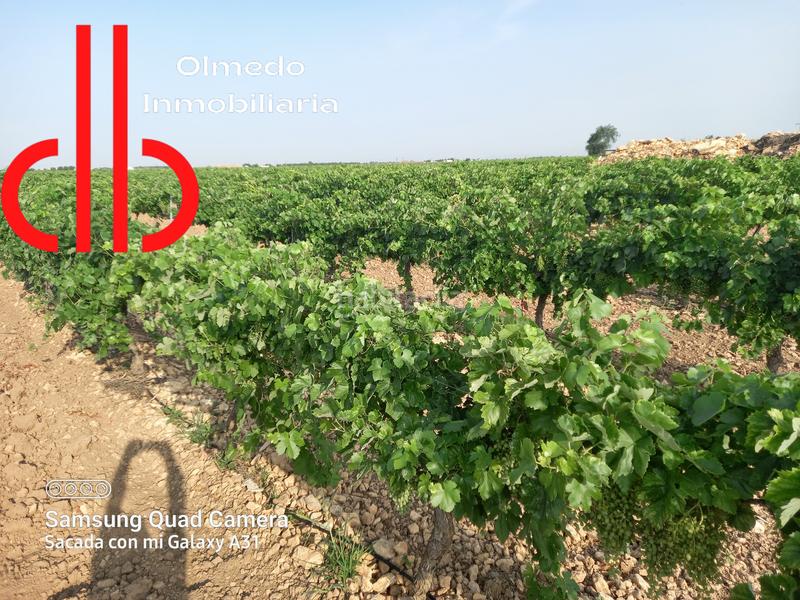 Foto e8beace2-a132-4b74-adb7-4b464e688c3a. Finca rústica a calle garcía pavón 106 a Tomelloso