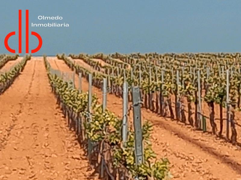 Foto 3b3f1981-1fd0-4c08-a04d-2ca81efed8a7. Finca rústica a calle garcía pavón 112 a Tomelloso