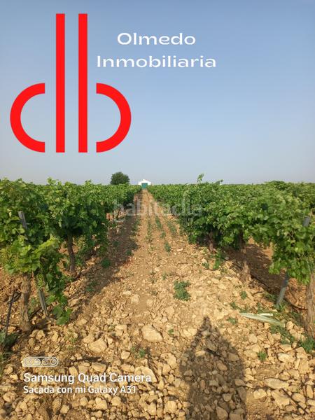 Foto 881662d9-bf52-4df7-be64-4dc4a7e279a0. Finca rústica a calle garcía pavón 112 a Tomelloso