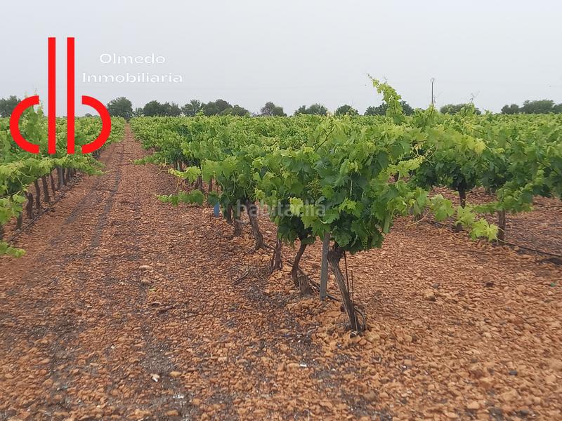 Foto 89166390-28b5-43e5-8d43-9e351d4fd502. Finca rústica a calle garcía pavón 112 a Tomelloso