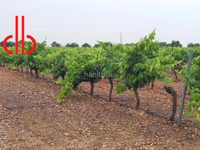 Foto 8e095015-56d4-4c8f-904f-a0140eceeadb. Finca rústica a calle garcía pavón 112 a Tomelloso