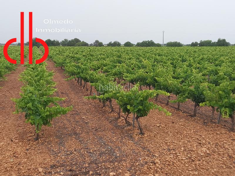 Foto a13847f4-96a7-4395-8c6d-6c9abd9b4bd4. Finca rústica a calle garcía pavón 112 a Tomelloso