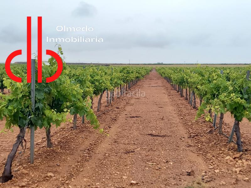 Foto a868a61d-b8c3-41fa-a2b7-48d3af4f0593. Finca rústica a calle garcía pavón 112 a Tomelloso