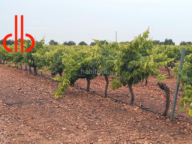 Foto c8b3325c-5f12-4473-8eb5-cdeb30d3ddea. Finca rústica a calle garcía pavón 112 a Tomelloso