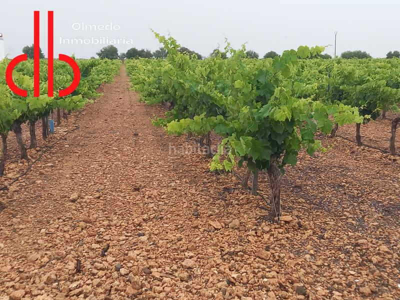 Foto cb45942b-3672-499f-b72d-59e423c9200f. Finca rústica a calle garcía pavón 112 a Tomelloso