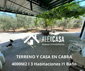 Finca rústica  Plaza vieja. Parcela 5´ de cabra