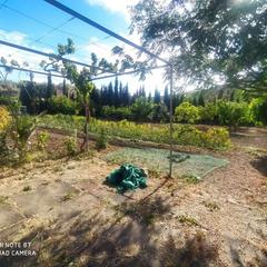 Finca rústica  Calle acera mío cid