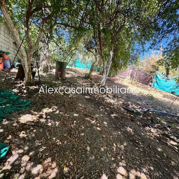 Foto d1dfdfb8-3b44-4e63-b44a-00288b655b88. Finca rústica a Cabra