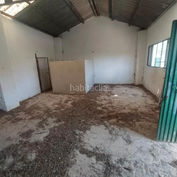 Foto 1967fa23-846c-492b-bace-1bd79d3e6ca7. Capannone industriale in Cabra