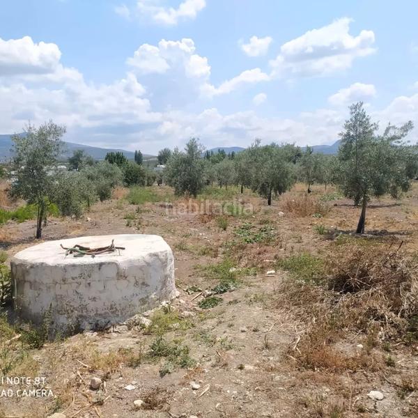 Foto 8b38d753-29c2-4aea-bfbb-5a8ec9ce074a. Capannone industriale in Cabra