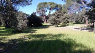 Terreny residencial  Urbanizacion urb las encinas. Magnífica parcela para casa unifamiliar en urb. encinas finca la