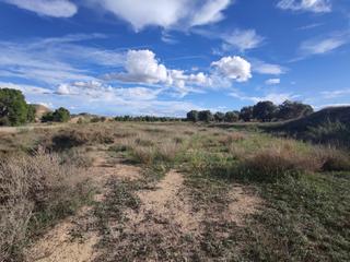 Rural plot in Caspe