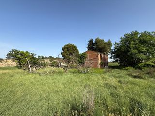 Finca rústica  Camino capellán. Finca rustica regadio con construccion