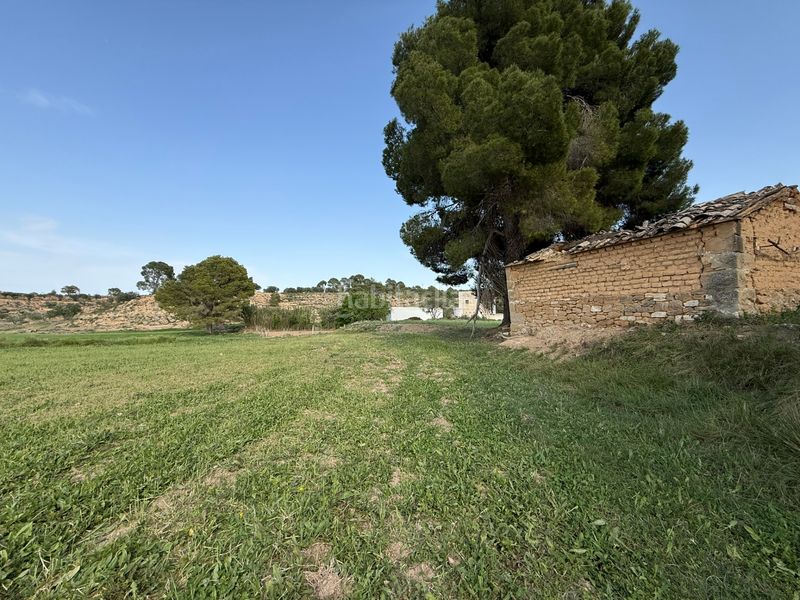 Foto ccc72f51-1e81-489f-ad7d-751dfc60e0e6. Finca rústica a Caspe