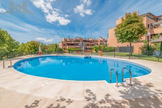 Ground floor in Calle Higuera