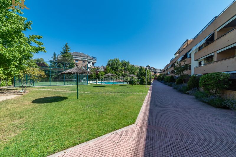 Foto fcac1799-c901-450a-a1bf-eb4a6ea0a651. Pis a Europolis Rozas de Madrid (Las)