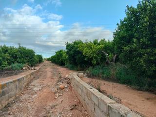 Finca rústica a Alcácer. Terreno rustico