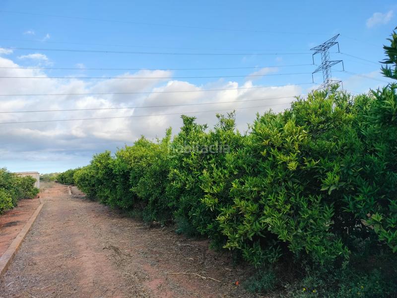 Foto b16b24ba-b3b2-4baf-8f41-f02f018effb7. Finca rústica terreno rustico en Alcácer