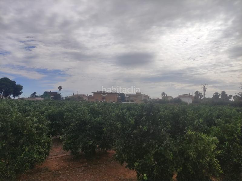 Foto 149bc5da-59e9-4048-b241-7df1544bcbec. Rural plot in Picassent