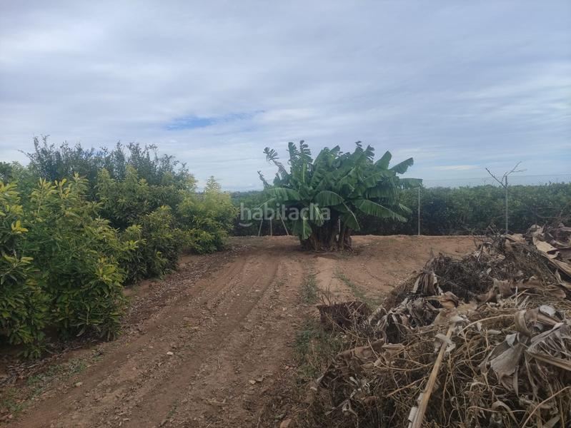 Foto 532200b7-7f31-4f10-925b-ac9d28f9d62f. Rural plot in Picassent