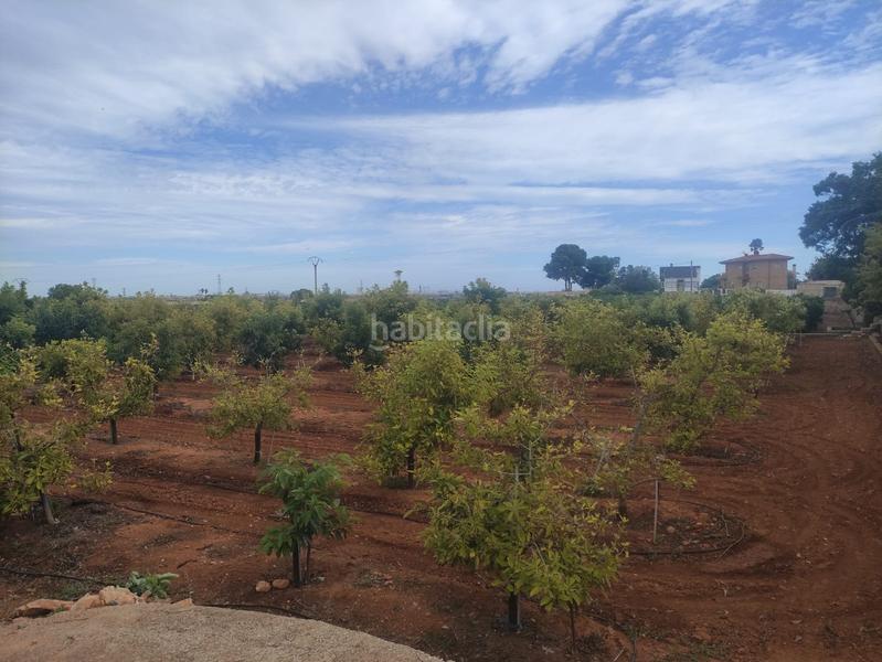 Foto eeb9d858-7934-498d-8a34-5173ae7a97ae. Rural plot in Picassent