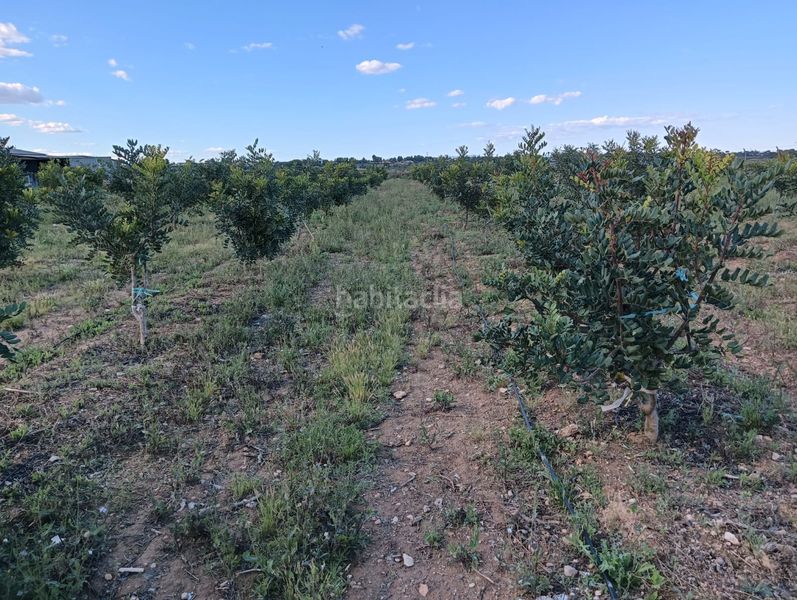 Foto b886b7e9-1386-47e6-b486-576ef0c052e1. Finca rústica terreno rustico en Turís