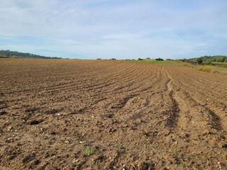 Rural plot in Sant Llorenç des Cardassar. Finca muy tranquila