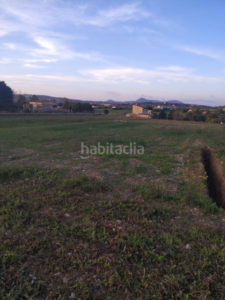 Foto 0e4c913e-fb3c-49b4-8de3-a1a1d8d32c86. Finca rústica a Manacor centre Manacor