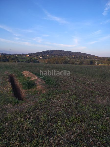 Foto 5e9daa43-bc96-498d-9d33-6396e3050d4f. Finca rústica a Manacor centre Manacor