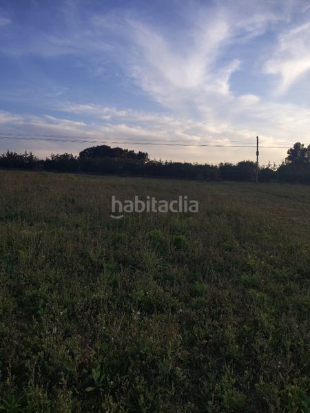 Foto 726a77f1-dfae-4c12-a825-1bf7f8fd1ef0. Finca rústica a Manacor centre Manacor