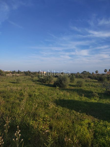 Foto b51bcc54-2d49-4abd-92df-d3544f93c53f. Finca rústica a Cala Millor Son Servera