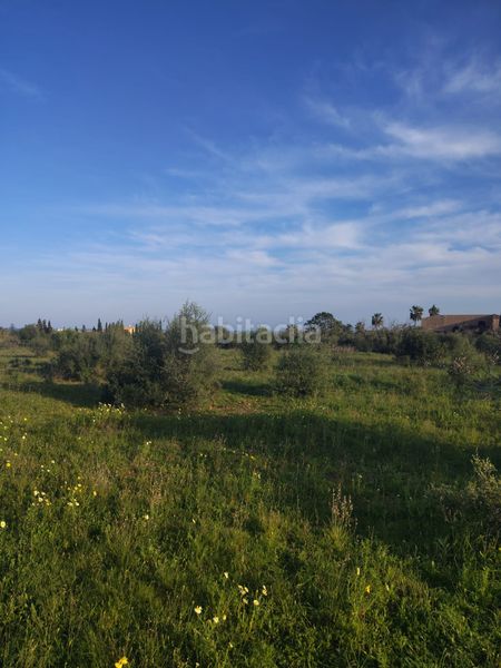 Foto c34c17c1-157d-4ebd-acea-bab6d716eaf1. Finca rústica a Cala Millor Son Servera