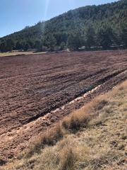 Finca rústica a Cedrillas. Inmogestion infinito gestiona en exclusiva la venta de este terr