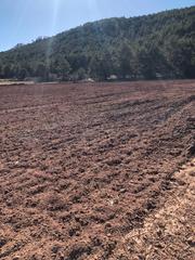 Finca rústica a Cedrillas. Inmogestion infinito gestiona en exclusiva la venta de este lote