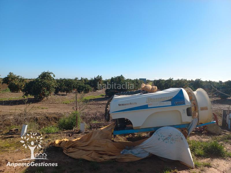 Foto 2bbe6ff4-505a-4d20-bb58-bb63ba54d340. Finca rústica a Lora del Río