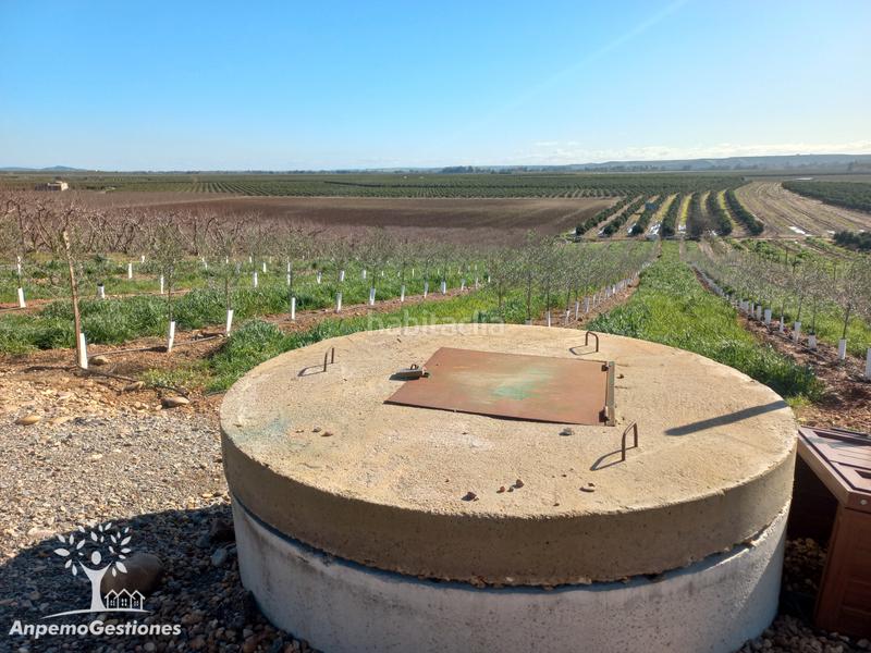 Foto 391c2318-389a-40c9-85e7-23f5f451bb27. Finca rústica a Lora del Río