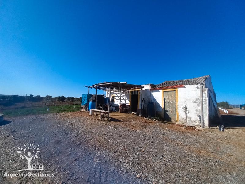 Foto e49e377c-1d7b-42ff-88d8-c96be64064a4. Finca rústica a Lora del Río