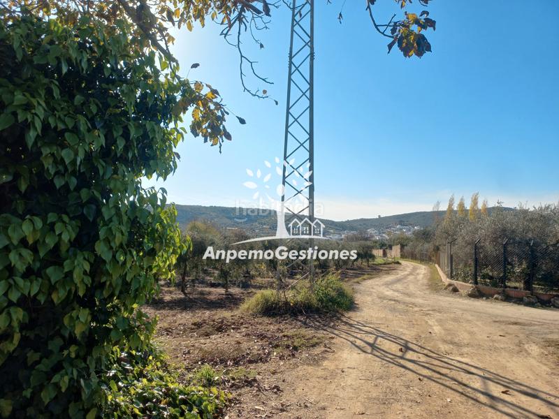 Foto 3af39b04-a767-4476-a41f-ed5459fa4ded. Propriété dans Puebla de los Infantes (La)