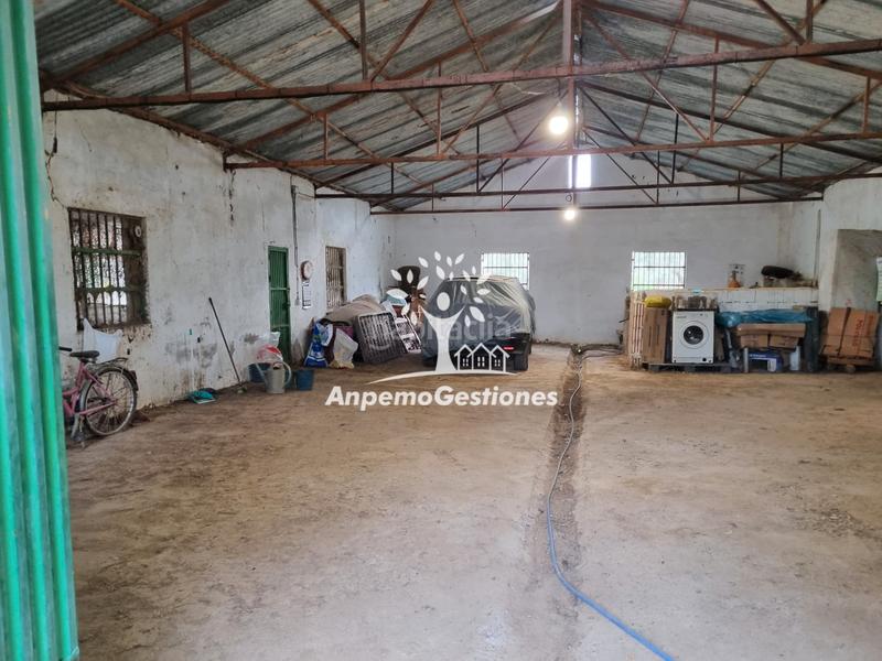 Foto 44fcf7cd-545c-469f-8382-32299c305f55. Propriété dans Puebla de los Infantes (La)