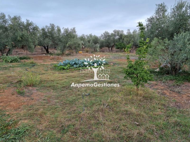 Foto 46719b7b-9553-4339-a3ca-c374e0d77391. Propriété dans Puebla de los Infantes (La)