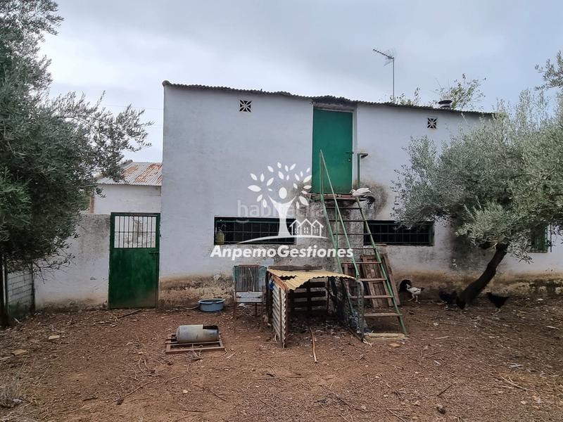 Foto 4a1df42d-7254-4b9f-9f26-0625fb5093d6. Propriété dans Puebla de los Infantes (La)