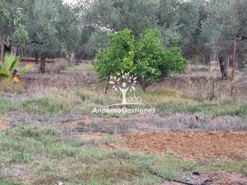 Foto 577dbb2f-b640-4929-bb97-8eced92ccac4. Propriété dans Puebla de los Infantes (La)