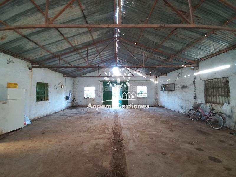 Foto 622a2662-38ba-44f2-b033-a12ea60d8eff. Propriété dans Puebla de los Infantes (La)