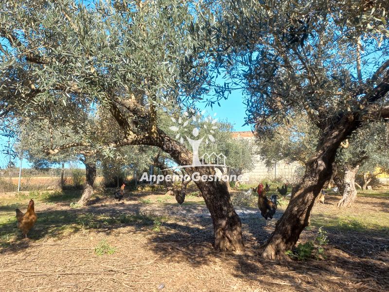 Foto 737d1a4d-da4a-426f-9df1-a20e7ac170d7. Propriété dans Puebla de los Infantes (La)