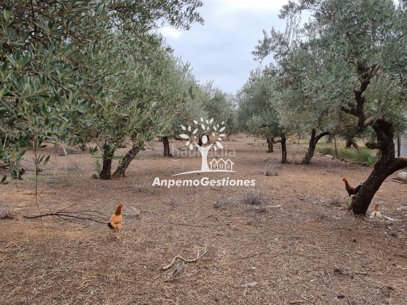 Foto 7bf6ab76-f532-409c-b6e6-c32d1f2bcbcb. Propriété dans Puebla de los Infantes (La)