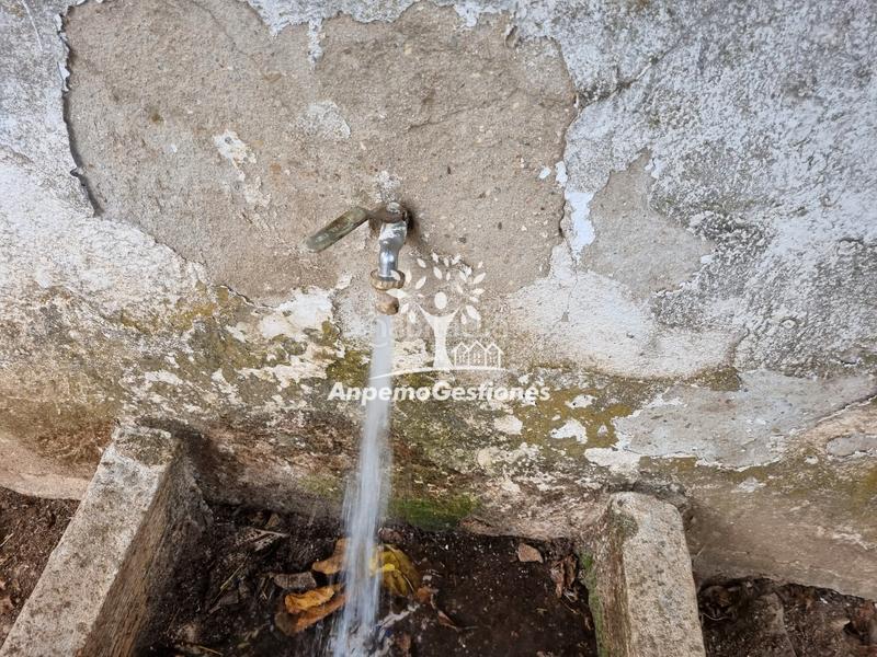 Foto b59c692b-85ec-4164-9958-aa21f64130a8. Propriété dans Puebla de los Infantes (La)